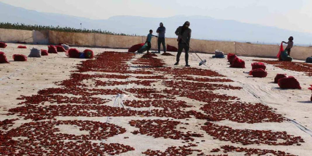 Kırmızının en güzel hali! Ser, kurut, şöleni izle: Bölgenin en önemli geçim kaynaklarından 5